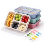 AIEVE 4 Pack Snack Box with Compartments, Bento Lunch Box for Kids and Adults, Divided Food Storage Container with 10 Animal Forks for Work School Picnic Travel