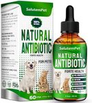 Antibiotics for Dogs & Cats | Dog A