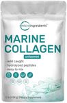 Micro Ingredients Marine Collagen P