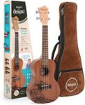 Octopus UK230CW Rosette concert ukulele outfit - wave motif