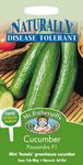 Mr Fothergill?s Seeds Ltd 24496 Vegetable Seeds, Cucumber Passandra F1