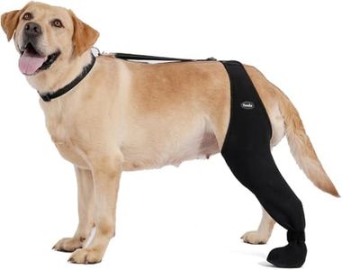 Dog Socks 