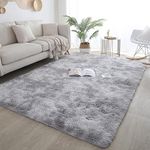 ISMOL Super Fluffy Rug 8x10 Feet Shaggy Bedroom Area Rug Plush Non-Slip Rug for Living Room Kids Room Modern Soft Furry Carpet for Nursery Room Light Grey