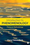 Introduction to Phenomenology: Focu