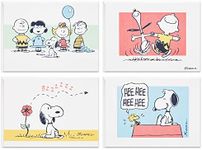 Hallmark Peanuts Blank Cards Assort