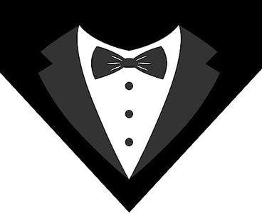 SAE99 Handmade Dog Bandana Bib Triangle Scarf for Small to Large Breed (Tuxedo, Large)