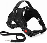 Musonic No Pull Dog Harness, Breathable Adjustable Comfort, Free Lead Included, for Small Medium Large Dog, Best for Training Walking (XL, Nero)