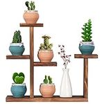 COOGOU Wooden Tabletop Plant Stand - 5 Tier Succulent Plant Holder Decorative Planter Holder, Small Desktop Flower Pot Rack Shelf for Decoration Living Room Home Office Windowsill