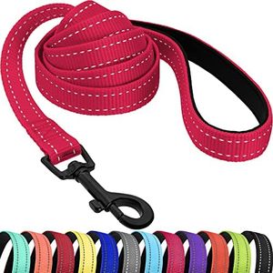 CollarDirect Nylon Dog Leash 5ft for Daily Outdoor Walking Running Training Heavy Duty Reflective Pet Leashes for Large, Medium & Small Dogs (Pink, Small)