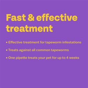 Bob Martin Clear Cat Wormer Tablets – Effective Deworming Treatment