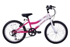 Professional Sparkle 20" Wheel Girls Kids Mountain Bike 6 Speed Shimano Pink Age 7+