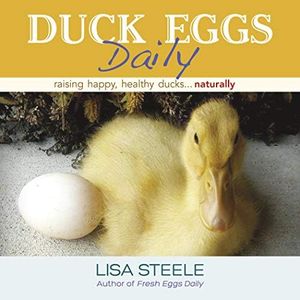 Duck Eggs 