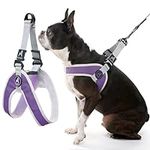 Gooby Simple Step in III Harness - 