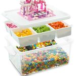 Citylife 16L Storage Boxes with Lids, Plastic Craft storage Box, Removable Tray, Latch Handle, Stackable Storage Box with Compartments for Toy, Tool, Sewing