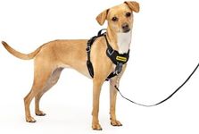 PetSafe Easy Walk Comfort No-Pull Dog Harness Full-Body Padding - Better Walks on The First Use - 5 Points of Adjustment X-Small, Black