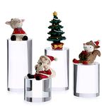 BTSKY 4 PCS Acrylic Cylinder Display Stand - Clear Solid Display Blocks Photography Props Photo Posing Props Display Risers Holder for Jewelry Collections Figures, Shooting Accessories