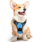 Eagloo Dog Harness No Pull, Walking Pet Harness with 2 Metal Rings and Handle, Adjustable Reflective Breathable Oxford Soft Vest Easy Control Harness for Small Medium Large Dogs, Sky Blue, M