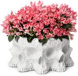 GUTE Skull Candy Dish Trick or Treat Bowl & Plant Planter Pot, Decorations Sugar Candy Bowl, Polyresin Skull Planter Succulents Pots, Flower Pot Home Gardening Garden Decor 4" H