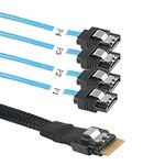 XMSJSIY Slimline SAS 4.0 SFF-8654 4i 38 Pin Host to SATA 7 Pin X4 Target Hard Disk Server Data Transmission Cable Array Drive Cable for Computer - 0.5M…