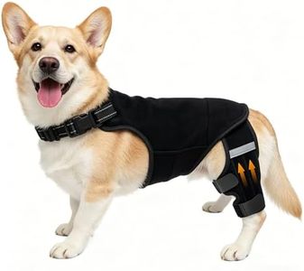 ALYBIT Dog