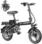 RPINT Foldable Electric Bike for Ad