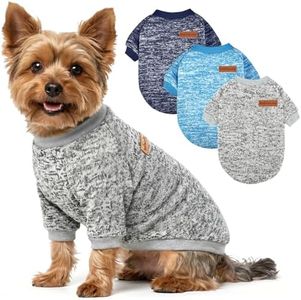 3 Pack Dog