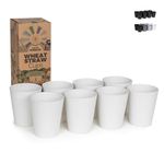 Grow Forward Premium Wheat Straw Cups - Set of 8 Unbreakable BPA Free Reusable Hard Plastic 13 oz Drinking Glasses for Water, Camping, RV - Small Tumblers for Kitchen - Arctic