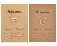 2Pcs Silver Zodiac Necklace for Women 12 Constellation Sign Necklace CZ Astrology Zodiac Star Necklace Birthday Gifts with Message Card (AQUARIUS)