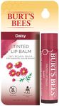 Burt's Bees 100% natural origin moisturizing Tinted Lip Balm, Daisy with Shea Butter-1 Tube 1 count