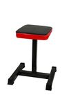 IBS FLAT BENCH UTILITY GYM STOOL MUSCLE FOR GYM AND HOME GYM