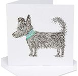 Greeting Card Dog