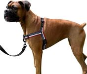 ShawnCo Dream Walk No-Pull Dog Harness- Adjustable, Comfortable, Easy to Use Pet Halter to Help Stop Pulling for Small, Medium and Large Dogs- Art Pattern Designs (Stars and Stripes, L)