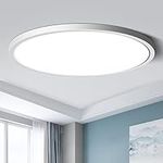 LED Flush Mount Ceiling Light Fixtu
