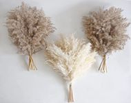 30 PCS Artificial Boho Decor, Fluffy Pompas Grass, Natural Dry Pampas Grass Small, Short Pampass Bulk for Boho Room Decor, Coffee Table Decor (17 inch )