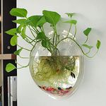 Premier Plants Wall Hanging Fish Bowl Acrylic White Colour with Free Color Stones (15 Inch)