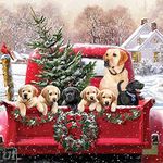 5D Diamond Painting Kits for Adults, Christmas Animals Diamond Art for Beginners, Full Drill Rhinestone Paintings Canvas Pictures Arts and Crafts for Home Decor(Dogs on The Truck 13.8x13.8 inch)