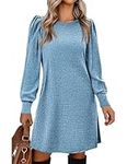 Zeagoo Women Knit Long Sleeve Dress A Line Sweater Dress for Fall Winter Dressy O Neck Tunic Dress, Blue M