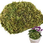 Cigoby 3.5 OZ Fake Moss for Potted Plants Artificial Moss for Fake Plants Faux Moss for Planters Decorative Moss for Craft and Home Decor