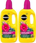 Miracle-Gro 121180 Azelia, Camellia
