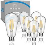 HUDSON BULB CO. Vintage Incandescen