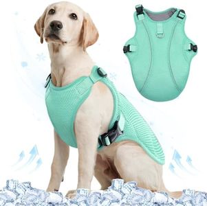 Kuoser Dog Cooling Vest, Breathable Cool Coat, Reflective, Green, XXL