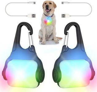 Dog Lights