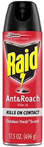 Raid Ant &