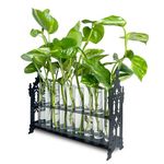 JamJam Gothic Test Tube Stand Plant Propagation Station Tubes,Window Propagation Stations Hydroponic Vase Propagate Station（Set of 9 ）