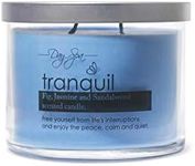 A Cheerful Giver Day Spa Tranquil Scented Candle - 11-Ounce Soy Candle with 55 hours Burn Time - Birthday Gift for Women