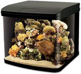 Interpet LED Lighting River Reef Glass Aquarium Fish Tank, 48 Litre