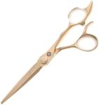 Saki Shears Gold Hair Cutting Shears Professional - 6 Inch Hairdresser Gold Scissors - Japanese Steel VG10 - Hair Salon Scissors