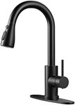 Kitchen Faucet with Pull-Down Spray