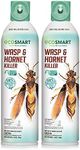 EcoSmart Wasp & Hornet Killer 14 oz. Aerosol (2 Pack)