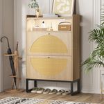 FiveWillowise Shoe Storage Cabinet,